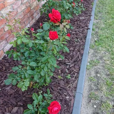 Marco Polo Privatunterkunft