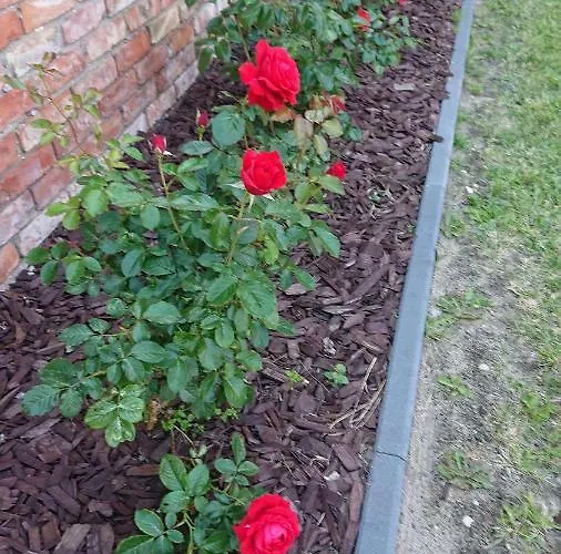 Marco Polo Privat bolig